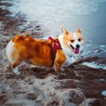 Profile picture of Phthiny