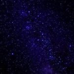 Profile picture of Herman