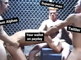 findom meme cashfuck (2)