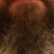 Profile picture of Landon