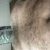 Profile picture of Master Tom